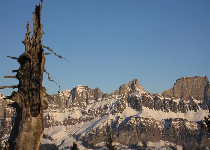 枫叶公寓 芙露姆赛山